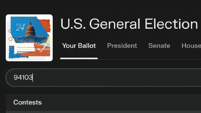 Perplexity elections hub